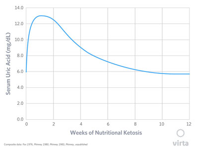 Ketose messen: Auf diese Werte solltest du achten! (inkl. Anleitung)