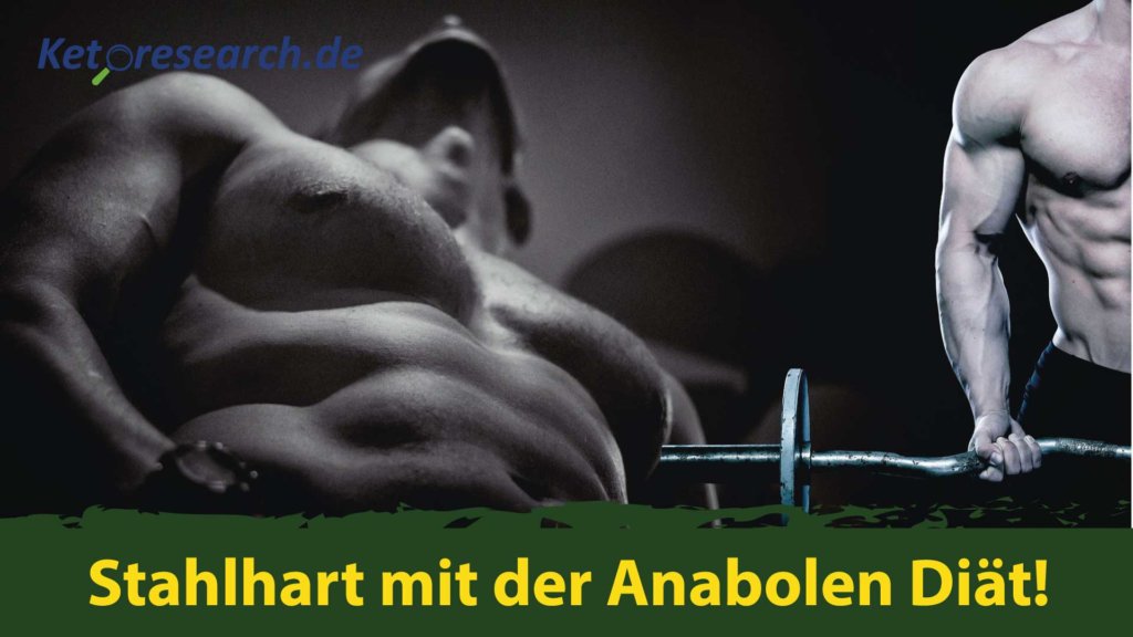 die anabole diät